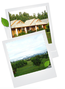 home_05